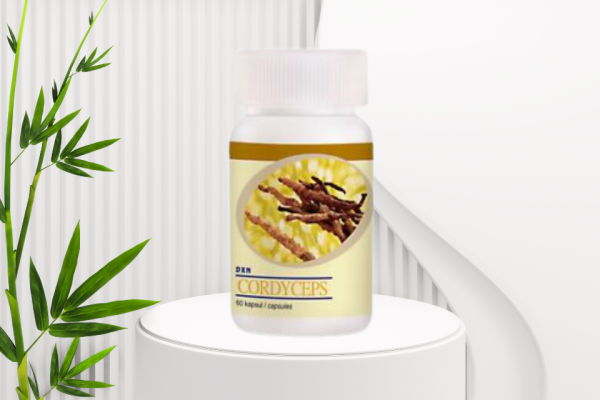 prodotti dxn cordyceps